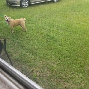 Meet your Posher, Wendy